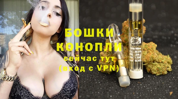 мдпв Надым