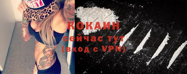 мдпв Надым