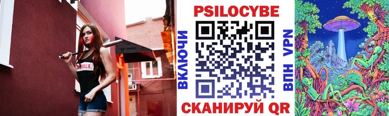купить наркотики цена  нарко площадка состав  Псилоцибиновые грибы мицелий  Хасавюрт 