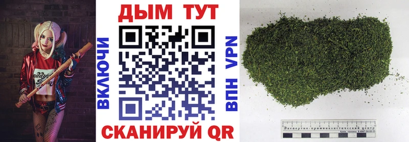 Конопля Amnesia  магазин продажи   Хасавюрт 